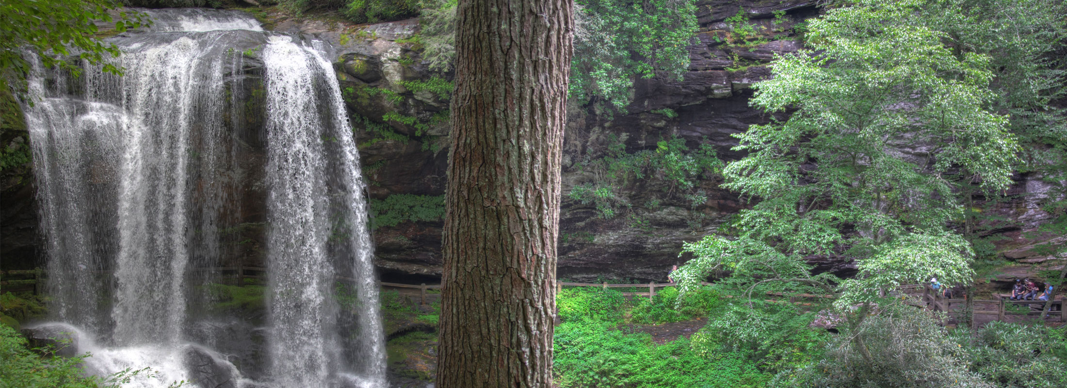 dry_falls_banner2